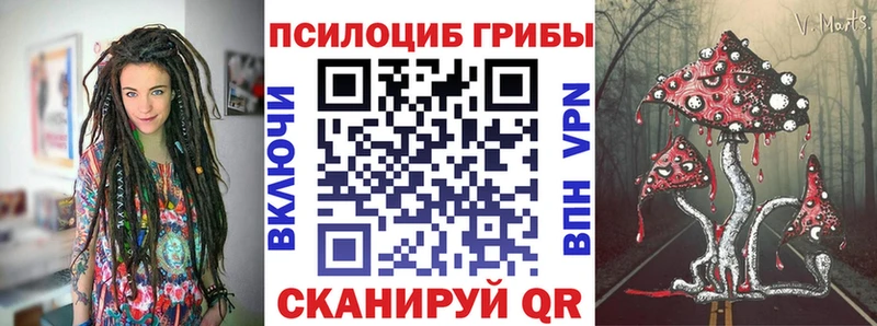 Псилоцибиновые грибы мухоморы  цены наркотик  Заволжье 